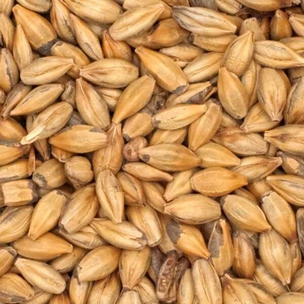 Best Munich Dark Malt - 1Kg