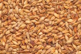 Best Caramel Aromatic - 1Kg