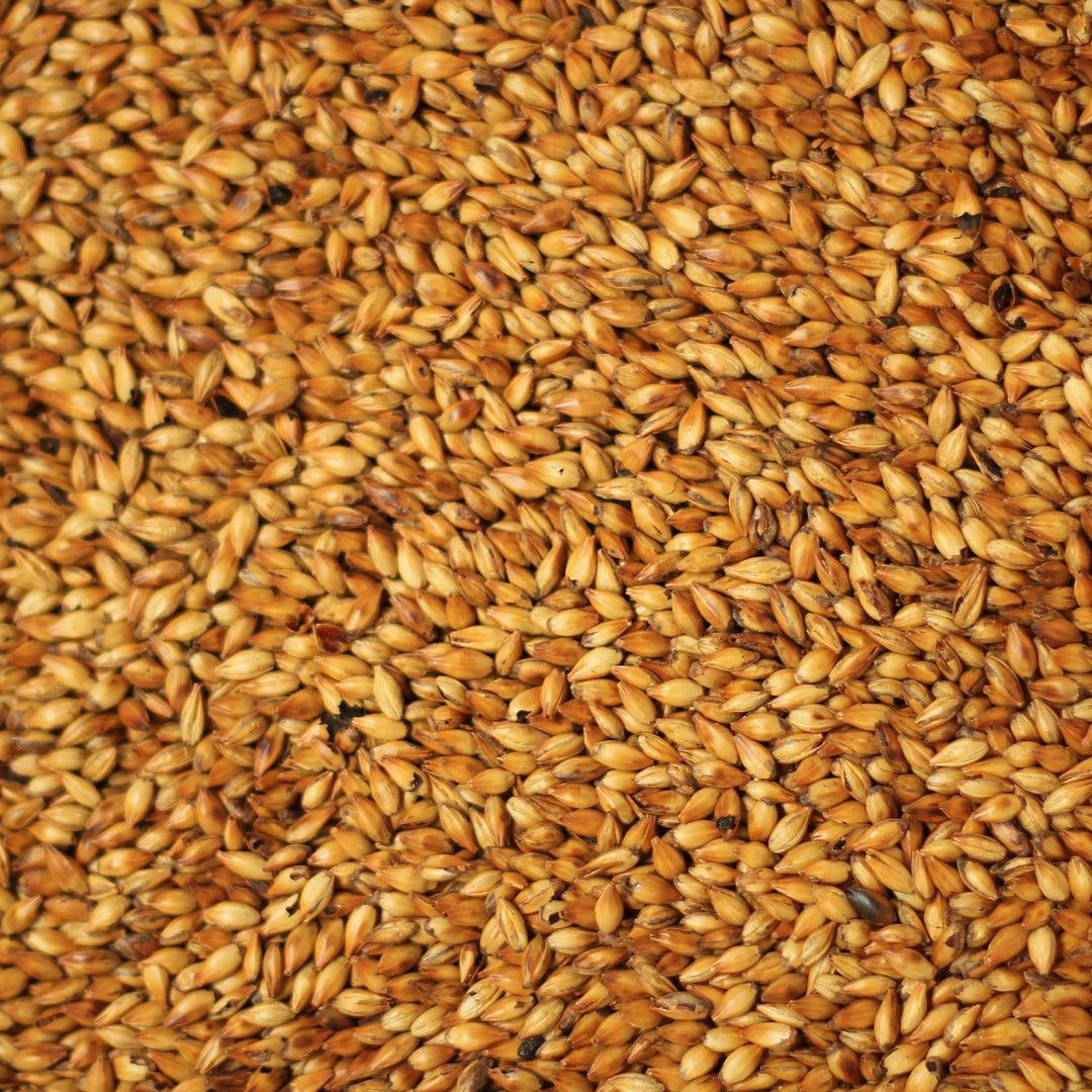 Best Special X - 1Kg