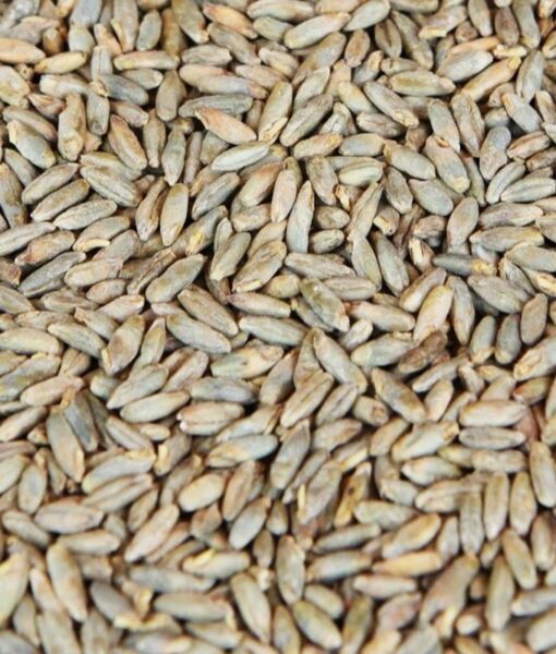 Weyermann Rye Malt