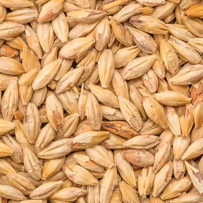 Best Biscuit Malt - 1Kg