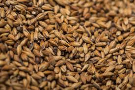 Weyermann Wheat - Dark - 1Kg