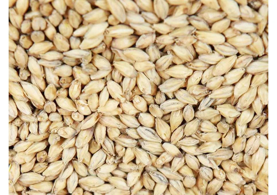Extra Pale, Crisp Malt 1Kg