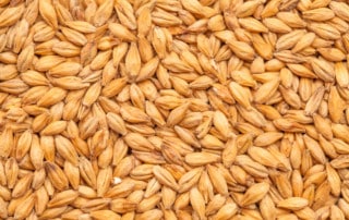 Best Smoked Malt - 1Kg