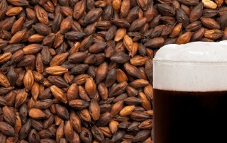Best Chocolate Malt - 1Kg
