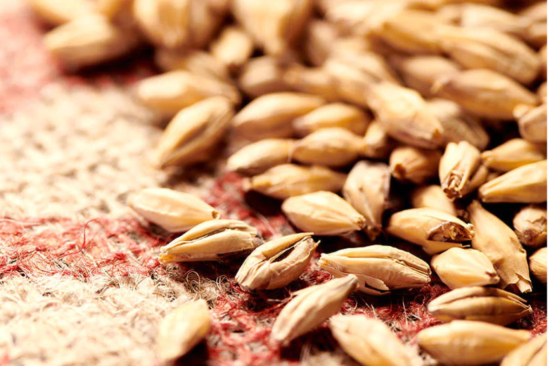 Weyermann Pilsner Malt