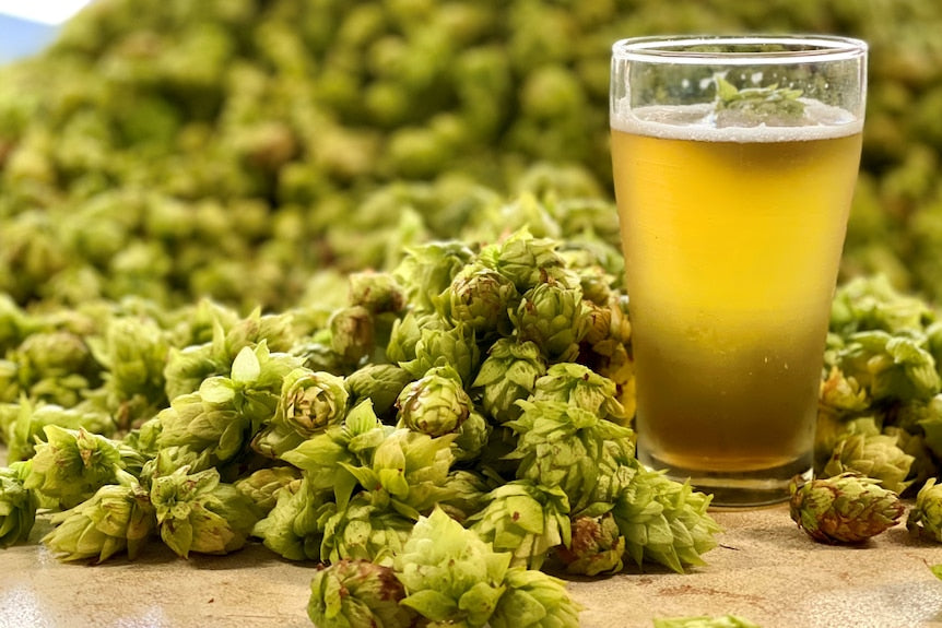 END OF BOIL HOPPING