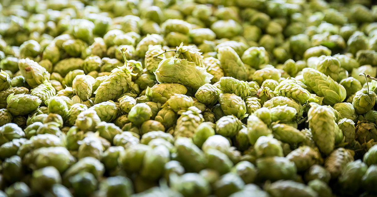 HOPS AROUND THE WORLD