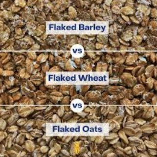 Flaked Barley vs Flaked Wheat vs Flaked Oats