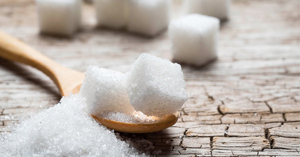 SUGAR AND BREWING
