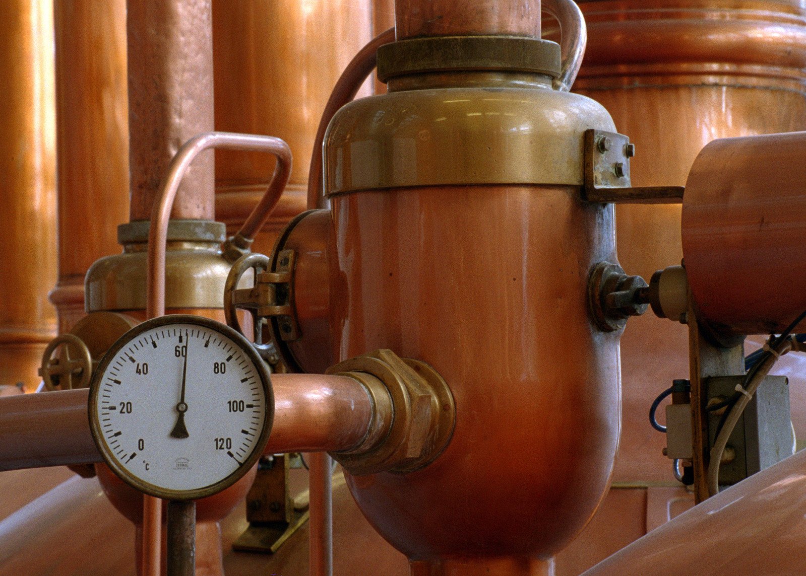 THE TOP TEN REASONS TO CONTROL YOUR FERMENTATION
