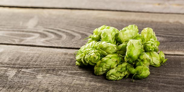 THE PROCESS OF DRY HOPPING