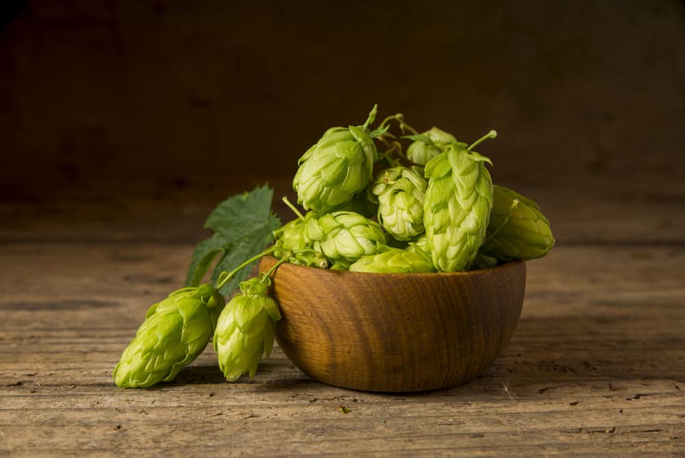 COLD IPA STYLE BEERS