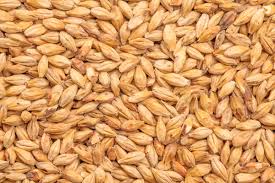 Best Melanoidin Malt - 1Kg
