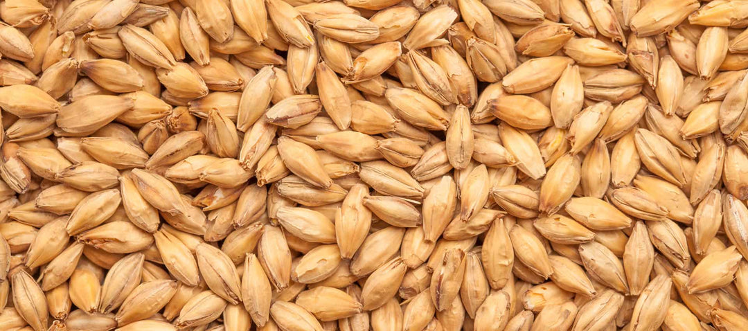Best Peated - 1Kg
