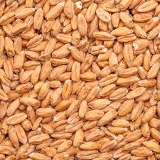 Best Spelt Malt - 1Kg