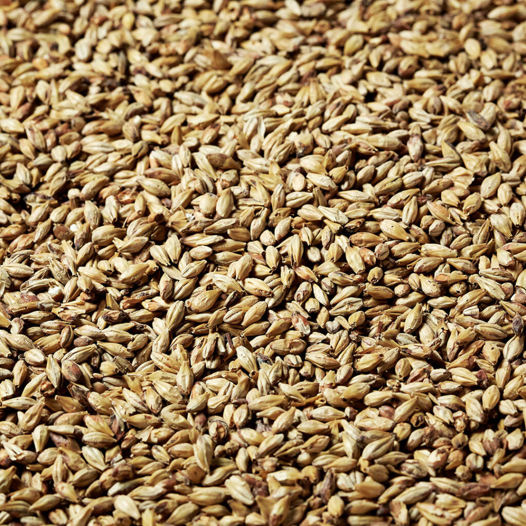 Swaen, Pilsner Malt - Unmilled
