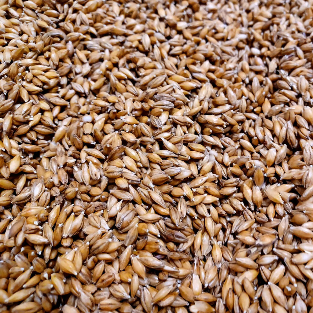 Chit, Platinum Swaen Malt 1Kg