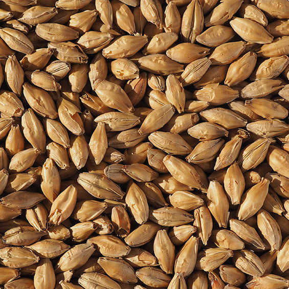 Munich Light, Crisp 1Kg