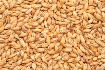Best Heidelberg Malt - 1Kg