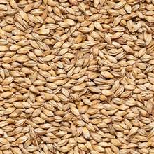 Pilsner,Chateau Malt 1Kg